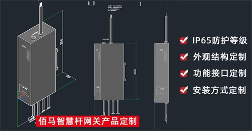 面对不同应用场景和应用功能的智慧路灯杆，除了市面上标准化的智慧杆网关，还可以选择定制网关，开发专属应用功能。