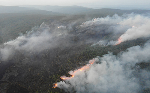 随着全球气候变化形势严峻，森林草原火灾日益频发，给生态环境和人民生命财产安全带来了严重威胁。基于佰马工业无线网关搭建防火监控及预警系统，能够实现多传感器数据融合、远距离稳定传输和智能预警，为生态安全和人民生命财产提供坚实保障。