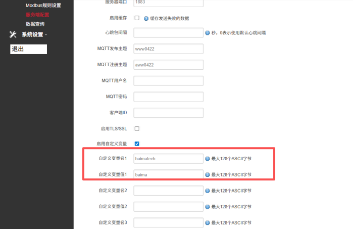 启用自定义变量
