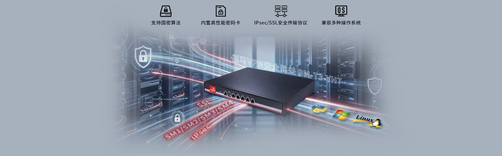 中心端VPN安全网关 中心端VPN安全网关